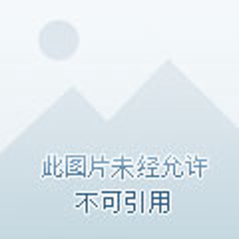 纺织加工行业的未来趋势:基于当前趋势的深度分析